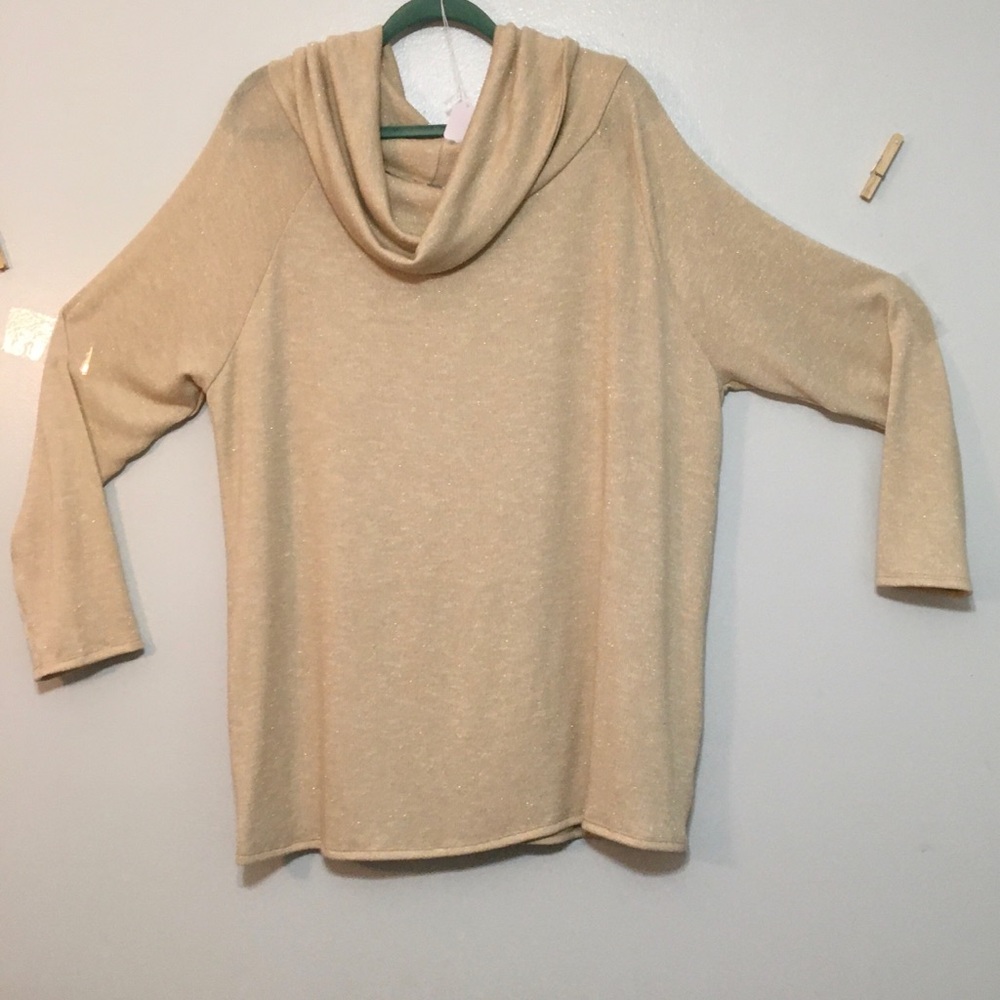 3XL. NWOT. Honey Me Curvy Sweater. Item #70